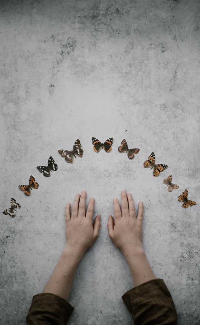 mariposas